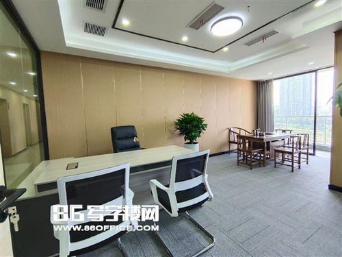 重庆金星科技大厦出租 光电园 金星 轻轨口 视野佳 220平 带家具